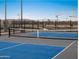 Enjoy a friendly game of Pickle Ball on a well-maintained court with a net and clear boundaries at 36860 W Santa Maria St St, Maricopa, AZ 85138