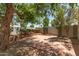 Backyard space featuring brick paving, mature trees, and a low privacy wall at 38 E Calavar Rd, Phoenix, AZ 85022