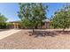 Charming single-story home with mature trees, low-maintenance rock landscaping, and a welcoming facade at 538 E Estevan Ave, Apache Junction, AZ 85119