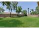 Spacious backyard with a lush lawn, mature trees, and a block wall for added privacy at 1125 E San Carlos Way, Chandler, AZ 85249
