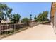 Large patio deck with wrought iron railing overlooking mature trees and a lush green yard at 1125 E San Carlos Way, Chandler, AZ 85249