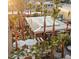 Palm tree-lined outdoor dining area offers a lush, tropical ambiance for guests at 1338 E Granada Rd, Phoenix, AZ 85006