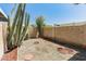 Desert backyard featuring cacti, trees, and decorative gravel at 1808 W Rose Ln, Phoenix, AZ 85015