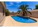 Private swimming pool with mature palm trees and landscaping; ideal for cooling off and enjoying sunny days at 1865 E Locust Pl, Chandler, AZ 85286