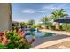 Lush backyard view of the pool area with vibrant flowers and tropical landscaping at 24695 S 195Th Way, Queen Creek, AZ 85142