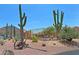 Community pool area featuring desert landscaping, mountain views, and poolside seating at 38065 N Cave Creek Rd # 2, Cave Creek, AZ 85331