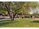 Well-manicured front yard featuring lush green grass and mature trees with a circular driveway to a 3 car garage at 3917 E Patrick Ln, Phoenix, AZ 85050