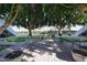 Serene courtyard featuring mature trees, brick paving, and shaded seating areas at 4224 N 12Th St # 108, Phoenix, AZ 85014