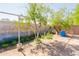 Private backyard featuring a brick wall, trees, and minimal landscaping at 5637 N 63Rd Dr, Glendale, AZ 85301
