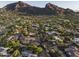 Aerial neighborhood view shows the property's location nestled in desert setting at 6306 N Camelback Manor Dr, Paradise Valley, AZ 85253