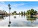 Scenic view of a calm lake surrounded by lush trees and greenery at 6376 W Louise Dr, Glendale, AZ 85310