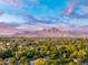 Expansive view of tree-lined neighborhood with mountains in the distance at 1535 W Berridge Ln, Phoenix, AZ 85015