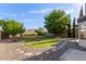 Expansive backyard featuring lush grass, mature trees, and a stone-paved area perfect for outdoor entertaining at 16209 W Acapulco Cir, Surprise, AZ 85379