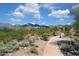 Scenic view of desert landscaping and mountain views with a walking path and a shaded seating area at 16420 N Thompson Peak Pkwy # 2101, Scottsdale, AZ 85260