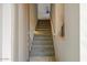 Carpeted stairway with handrail and light fixture at 16420 N Thompson Peak Pkwy # 2101, Scottsdale, AZ 85260