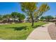 Lush greenbelt area lined with mature trees and sidewalks provides a scenic and walkable neighborhood environment at 1991 S Bahama Dr, Gilbert, AZ 85295