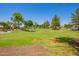Expansive greenbelt featuring mature trees, manicured lawns, and community spaces for recreation and relaxation at 1991 S Bahama Dr, Gilbert, AZ 85295