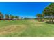 Expansive green space with scattered mature trees creates a park-like setting for outdoor activities and community enjoyment at 1991 S Bahama Dr, Gilbert, AZ 85295