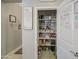 Well-organized pantry with shelves stocked with food items and household essentials at 23781 W Mohave St, Buckeye, AZ 85326
