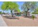 Inviting single-story home with lush green trees providing shade in the gravel front yard at 238 W Myrna Ln, Tempe, AZ 85284