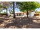 Expansive backyard shows lush trees and shade that provides a serene outdoor setting at 3021 E Windrose Dr, Phoenix, AZ 85032