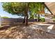 Spacious backyard provides natural shade for outdoor activities and relaxation at 3021 E Windrose Dr, Phoenix, AZ 85032