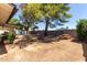 Expansive backyard features shady trees, perfect for outdoor relaxation and entertaining at 3021 E Windrose Dr, Phoenix, AZ 85032