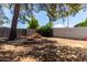 Spacious backyard featuring a brick fire pit and a picnic table shaded by mature trees at 3021 E Windrose Dr, Phoenix, AZ 85032