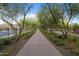 Scenic tree-lined walkway with lush landscaping and a peaceful ambiance at 31210 N 122Nd Ln, Peoria, AZ 85383