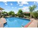 Stunning pool and patio, surrounded by green grass and landscaping provides the perfect escape at 4136 E Greenway Cir, Mesa, AZ 85205