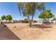 Spacious backyard featuring mature trees, offering ample space for recreation and future landscaping at 4712 W Juniper Ave, Glendale, AZ 85306