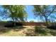 Large backyard featuring grass, trees and a block wall at 5374 N Ormondo Way, Litchfield Park, AZ 85340