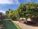 Charming backyard with orange and lemon trees, gravel landscaping, and artificial turf for a beautiful outdoor area at 5618 E Des Moines St, Mesa, AZ 85205