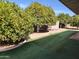 Backyard featuring artificial turf and mature lemon trees, offering a serene and low-maintenance outdoor space at 5618 E Des Moines St, Mesa, AZ 85205