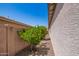 Side yard of a home exterior with a wall and landscaped area of trees and gravel at 595 W Dragon Tree Ave, Queen Creek, AZ 85140