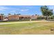 Expansive backyard with green space, walkway, and block fence, perfect for relaxing or entertaining guests at 636 S Rosemont --, Mesa, AZ 85206