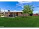 Lush backyard featuring manicured lawn, patio area with furniture, and a mature tree at 6749 E Lewis Ave, Scottsdale, AZ 85257