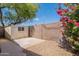 Fenced backyard with storage shed and mature trees, providing privacy at 7345 E Forge Ave, Mesa, AZ 85208