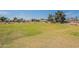 Large, grassy common area with trees, community landscaping, and nearby residential homes, ideal for outdoor enjoyment at 7345 E Forge Ave, Mesa, AZ 85208