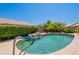 Sparkling swimming pool surrounded by lush greenery and mature palm trees at 7345 E Forge Ave, Mesa, AZ 85208