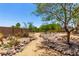 Backyard with gravel landscaping, desert foliage, and a walking path at 82 N 221St Ave, Buckeye, AZ 85326
