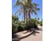 Backyard landscaping with mature trees, gravel, and greenery at 8355 E Via De Encanto --, Scottsdale, AZ 85258