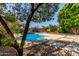 Inviting backyard pool area featuring lush landscaping and ample patio space for relaxation and entertainment at 8738 E Vista Dr, Scottsdale, AZ 85250