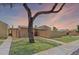 Inviting single-story home with lush lawn, walkway, and mature shade tree in a well-maintained neighborhood at 921 S Hacienda Dr, Tempe, AZ 85281