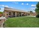 Backyard featuring covered patio, green grass, and swimming pool at 14835 N 41St Pl, Phoenix, AZ 85032