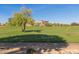 Scenic view of golf course highlighting the manicured green and mature tree at 15221 N Clubgate Dr # 2139, Scottsdale, AZ 85254