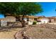 Single-story home featuring xeriscaping, a stone facade, a mature tree, and a two-car garage at 1611 W Palomino Dr, Chandler, AZ 85224