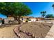 Single-story home featuring xeriscaping, a stone facade, a mature tree, and a two-car garage at 1611 W Palomino Dr, Chandler, AZ 85224