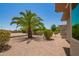 Gravel backyard with a mature palm tree and lush shrubs at 17359 W Calistoga Dr, Surprise, AZ 85387