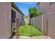 Enclosed backyard features new turf and gravel with a dog run, perfect for outdoor enjoyment and pet-friendly living at 18455 W San Carlos Dr, Goodyear, AZ 85338